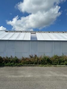 IMG-20250724-WA0035